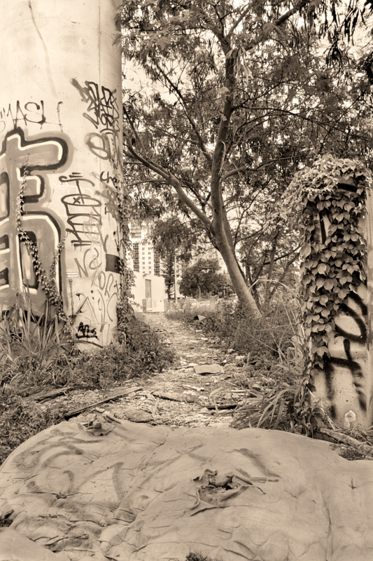 04_IMG_9784-Edit15x22